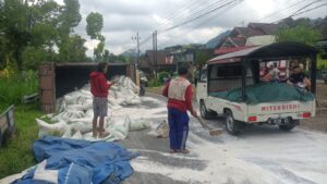 Laka Lantas Antara Mobil Pick up Vs Truck Bermuatan Pupuk Urea ZA Di Jalan Raya Poros Propinsi Dusun Kedawung Desa Jombok Kecamatan Ngantang