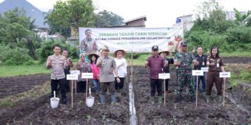 Jaga Inflasi, Pemkot Batu Tanam 5.000 Bibit Cabai