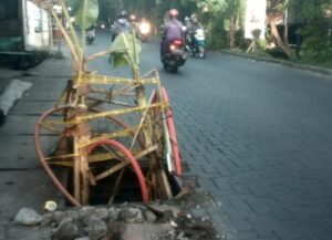 Adanya Lubang Galian Kabel Tidak Terurus, Bahu Jalan Akhirnya Ditanami Pohon Pisang