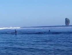 Belajar Surfing Di Pantai Tanjung Penyu