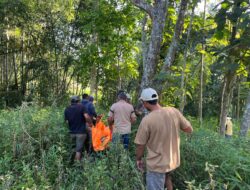 Jasad Seorang Pria Gantung Diri di Pohon, Telah di Evakuasi