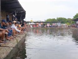 Mas Gum Support 1 Kwintal Ikan Lele Di Kolam Pemancingan 