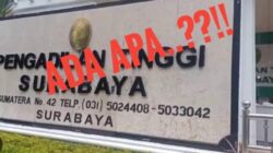 Digdayanya Pengadilan Tinggi, Memutus Perkara Kurang Dari Dua Minggu