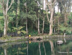 Telaga Madiredo Pujon: Pesona Air Jernih & Spot Instagramable yang Sedang Viral di Malang