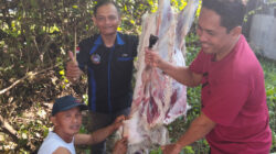 AWOS dan AOS Potong Hewan Qurban Rayakan Idul Adha 2025