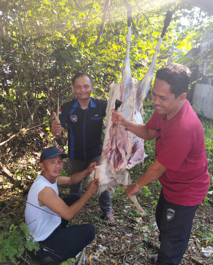 AWOS dan AOS Potong Hewan Qurban Rayakan Idul Adha 2025