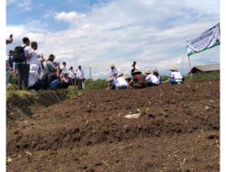 Dari Kebun di Batu ke Meja Makan di Kapal: PELNI Resmikan “Desa Mandiri” Wujudkan Sinergi untuk Kesejahteraan Petani dan Ketahanan Pangan Nasional
