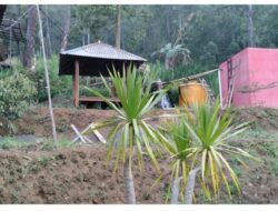 Biar Nggak Kacau, Pengelola Gunung-Gunung di Jatim Akan Bikin Aturan Main Pendakian yang Sama, Dimulai dari Kawasan Kawi