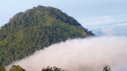 Jalur Pendakian Gunung Buthak, Kurang Lebih 7 Jam Perjalanan Menaklukkan ‘Sang Misteri'”
