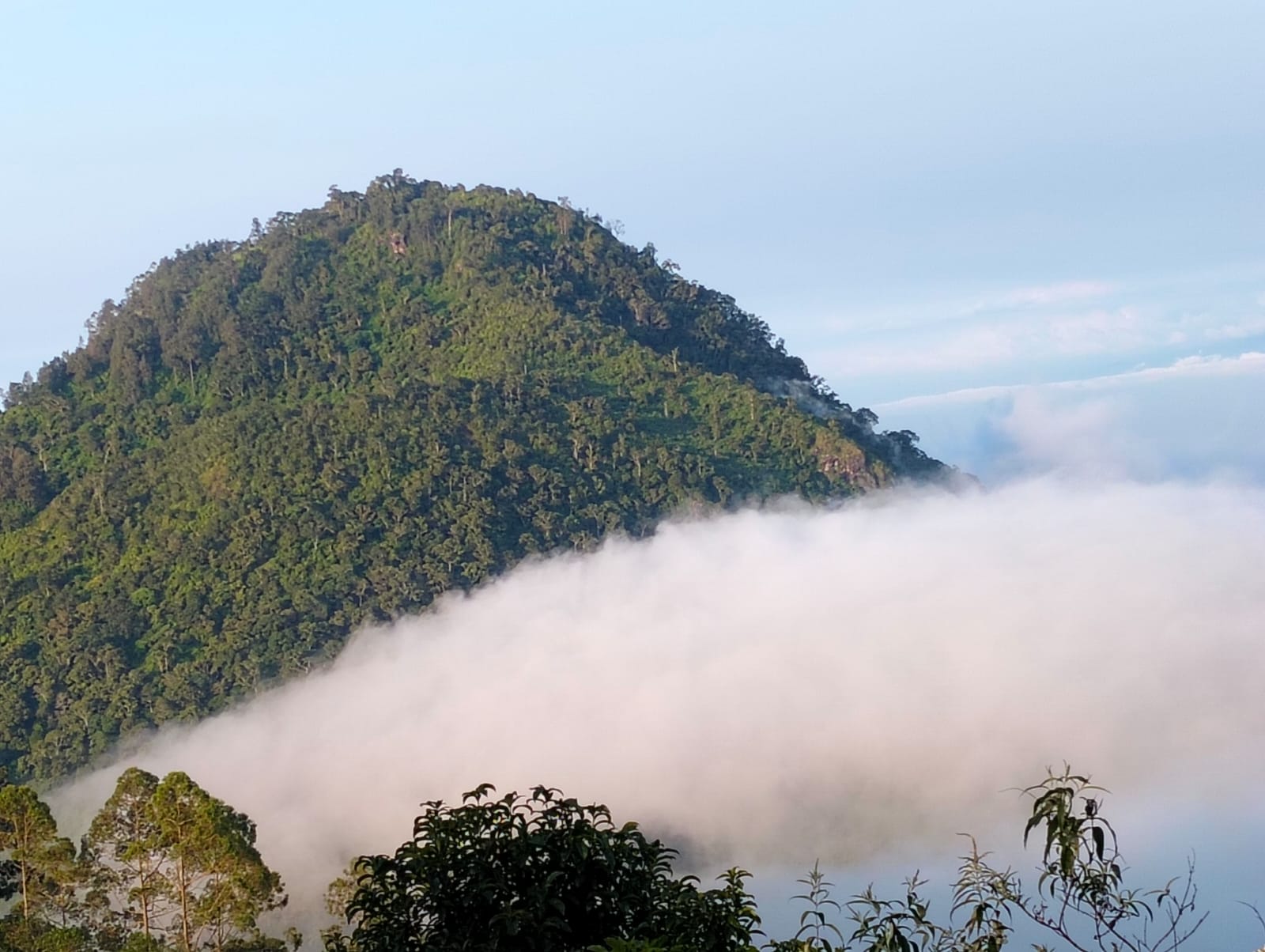 Jalur Pendakian Gunung Buthak, Kurang Lebih 7 Jam Perjalanan Menaklukkan 'Sang Misteri'"