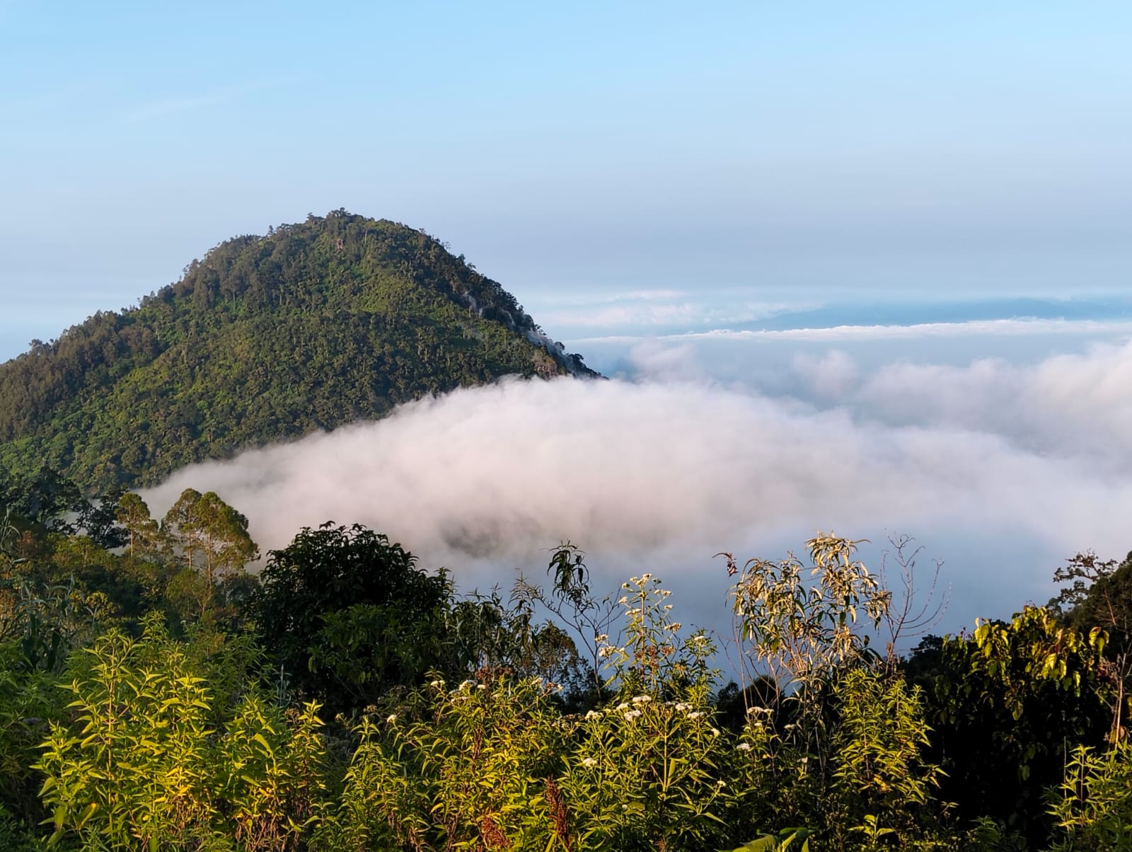 Gunung Buthak
