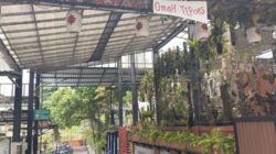 Cerita di Balik Omah Tepoes, Basecamp yang Jadi Simpul Hidup Pendaki Kelud