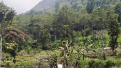Kebanggaan Jawa Timur, Gunung Butak Penerapan Zero Waste Terketat yang Dijadikan Objek Riset Mahasiswa UB