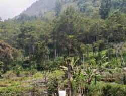 Kebanggaan Jawa Timur, Gunung Butak Penerapan Zero Waste Terketat yang Dijadikan Objek Riset Mahasiswa UB
