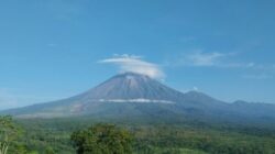157 Kali Gempa Letusan Guncang Semeru dalam Sehari, 143 Hewan Ternak Tewas