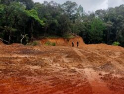 Janji Pohon vs Kebijakan Meja: Dilema 16 Ribu Hektare Hutan Gowa dalam Bayang-bayang Komitmen Hijau Presiden