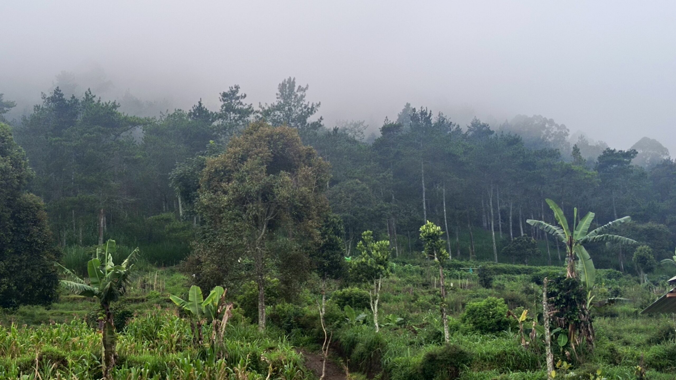 UTAMAKAN KESELAMATAN, JANGAN ABAIKAN PACKING BASAH GUNUNG PANDERMAN