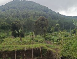 Kata Koordinator: ‘Banyak yang Turun Gembur’, Ini Analisis dan Tips Hadapi Cuaca Tak Menentu di Gunung Panderman Cs.”