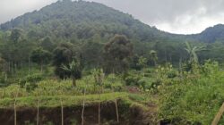 Kata Koordinator: ‘Banyak yang Turun Gembur’, Ini Analisis dan Tips Hadapi Cuaca Tak Menentu di Gunung Panderman Cs.”